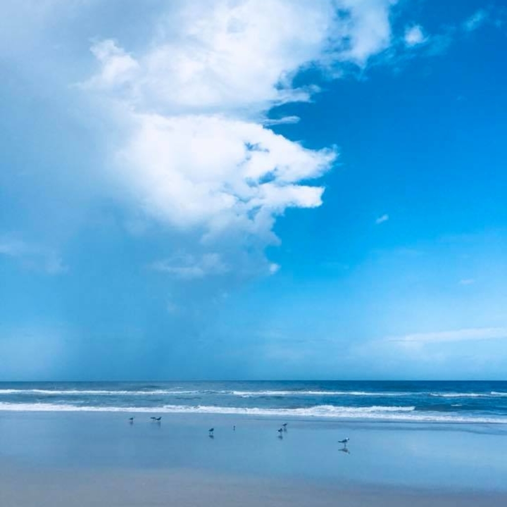 Meet your Posher, Lisbeth